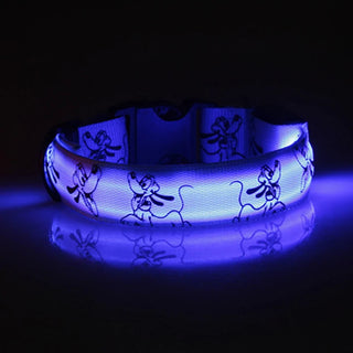 LED-Hundehalsband