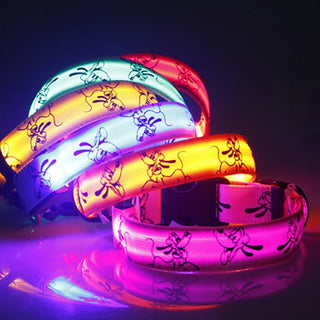 LED-Hundehalsband