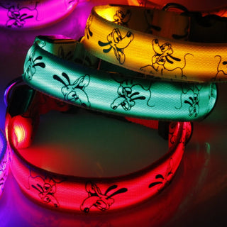 LED-Hundehalsband