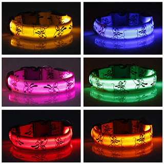 LED-Hundehalsband