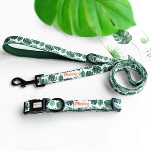 Bedrucktes Nylon-Hundehalsband und Leine-Set